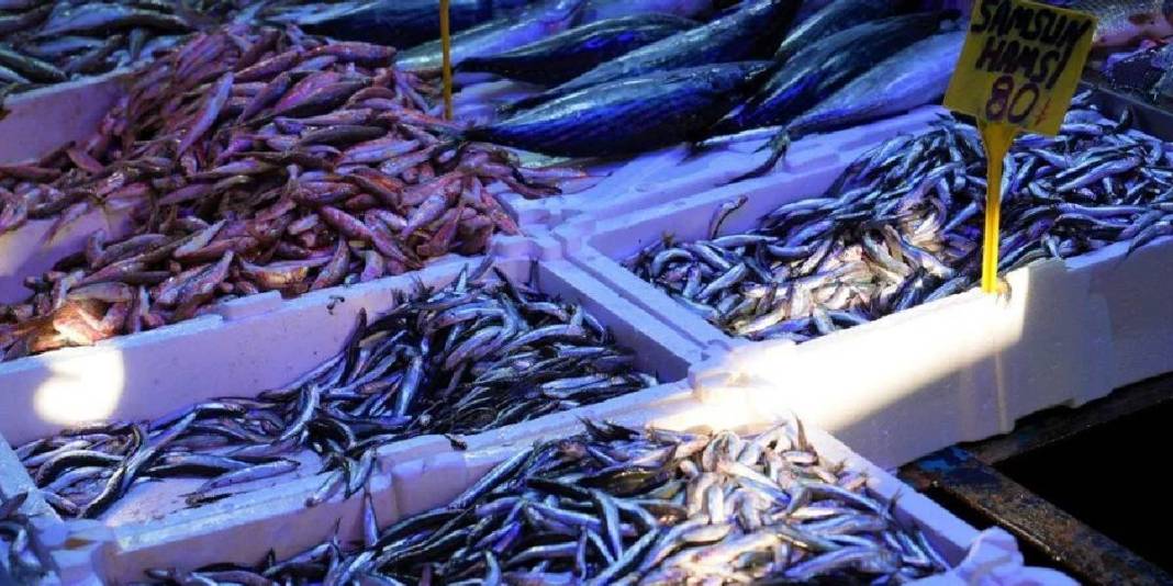 Fiyatı düştü, duyan koştu! Tezgahlarda 80 liradan kapış kapış satılıyor: Palamudun tahtını bile salladı 4